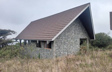 Leopard Tours - Finished Products